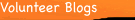 Volunteer Blogs